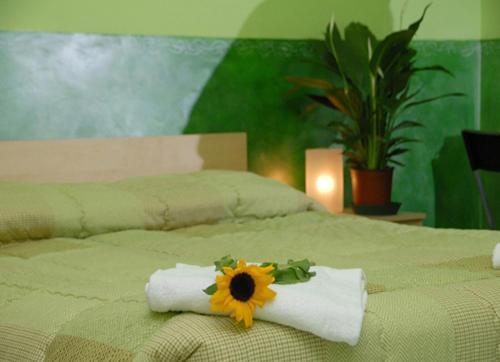 On The Rainbow B&B Rome Buitenkant foto